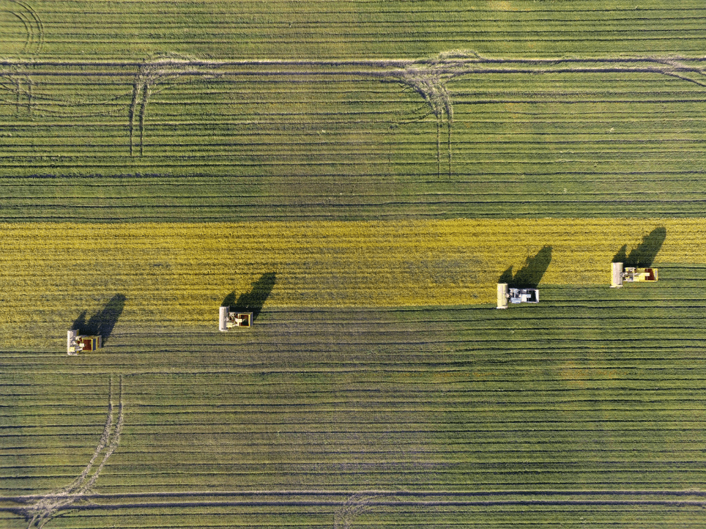 Bonomelli 08 immagine