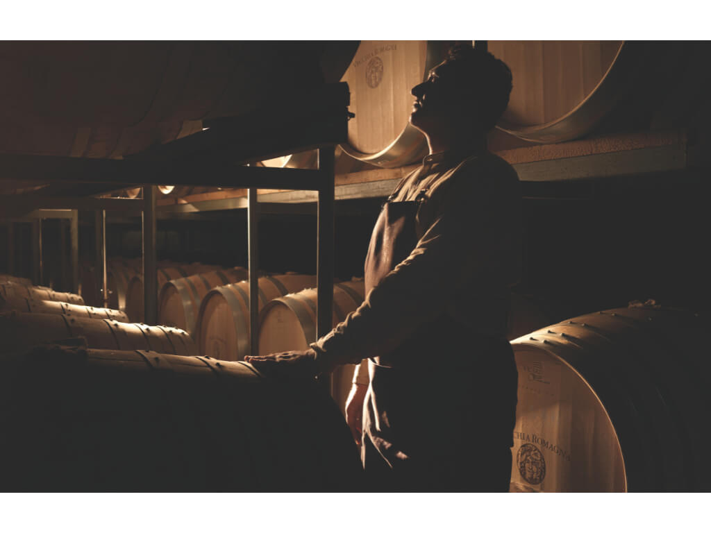 Vecchia Romagna 10 immagine